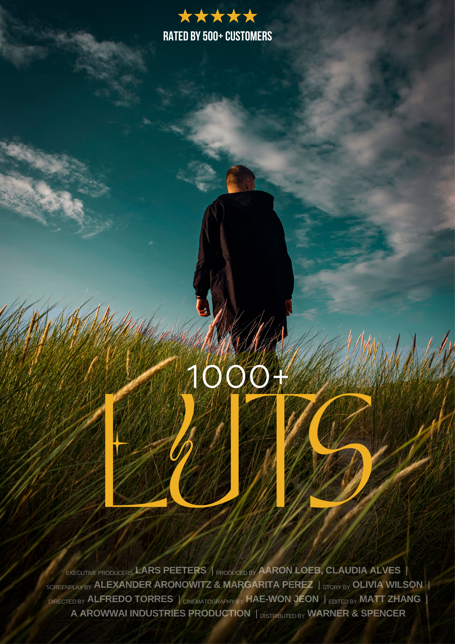 1000+ LUTS